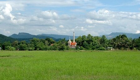 TPU dan Pemakaman Swasta: Menimbang Biaya TPU dan Pemakaman Swasta: Menimbang Biaya